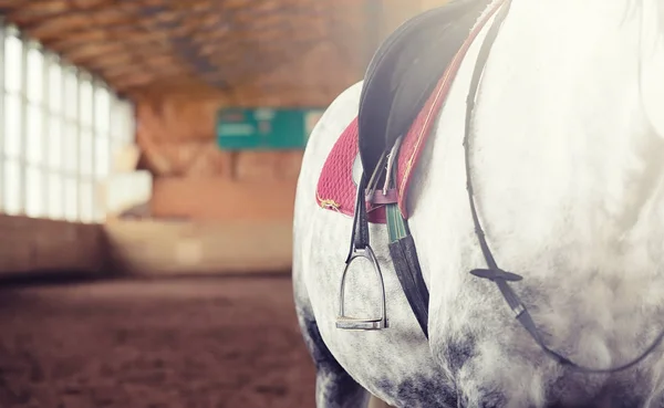 Mensen op een paard trainen in een houten arena — Stockfoto