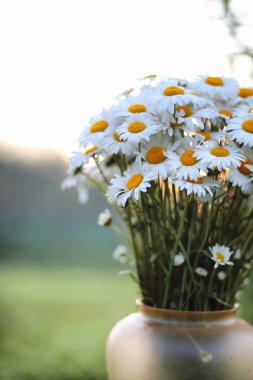 Geniş alan chamomiles buket