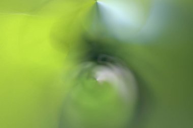 Yeşil arka plan hatları ve bulanık açıları 