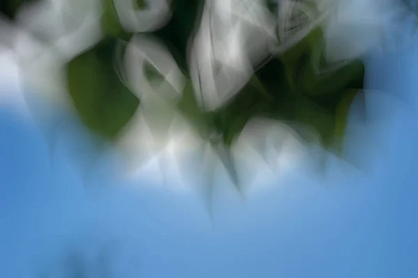 Green abstract background lines and angles blurred — Stock Photo, Image