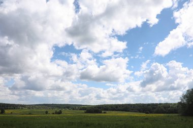 Yatay yaz mevsimindeyiz. Yeşil ağaç ve otların arasında kırsal arazi