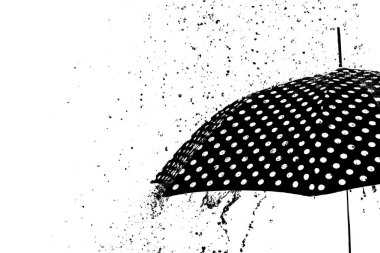 yağmur damla şemsiye izole