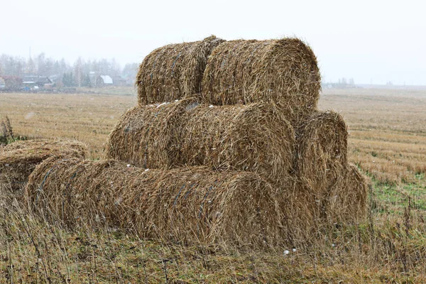 Fall field straw stack
