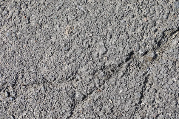 Textur aus Beton. Asphaltuntergrund. Straßenbelag. Textur o — Stockfoto