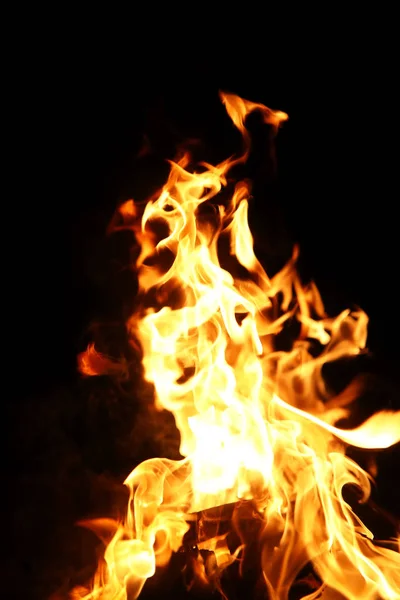 Языки пламени огня оранжево-желтого цвета из горящей ели — стоковое фото