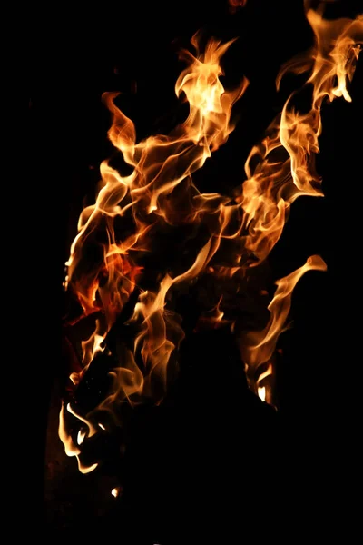 Las lenguas de la llama del fuego del color anaranjado-amarillo del abeto ardiente — Foto de Stock