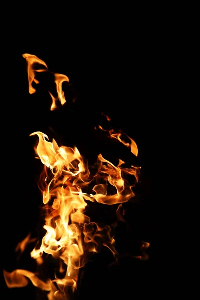 Línguas de chama de fogo de cor amarelo-alaranjada de abeto ardente — Fotografia de Stock