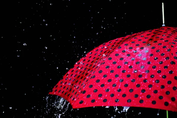 Chuva gota guarda-chuva isolado — Fotografia de Stock