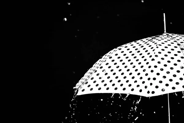 Regn droppe paraply isolerade — Stockfoto