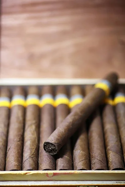 Grande boîte en bois de cigares fait à la main cubain — Photo