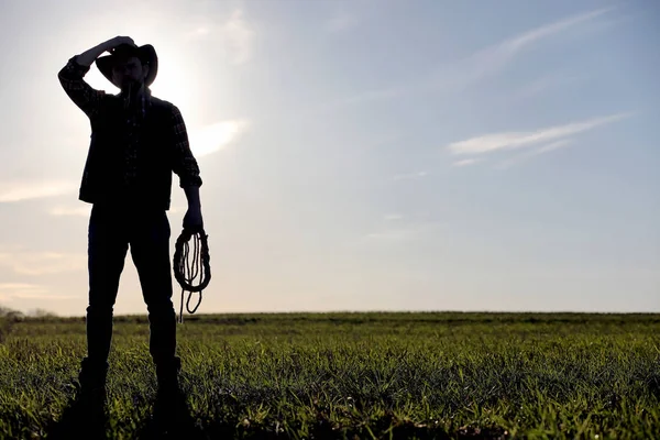 Um chapéu de cowboy e um loso no terreno. agricultor americano em um f — Fotografia de Stock