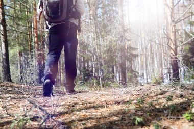 Bir turist bir çam ormanı ile bir sırt çantası içinde bir adamdır. A tr hiking