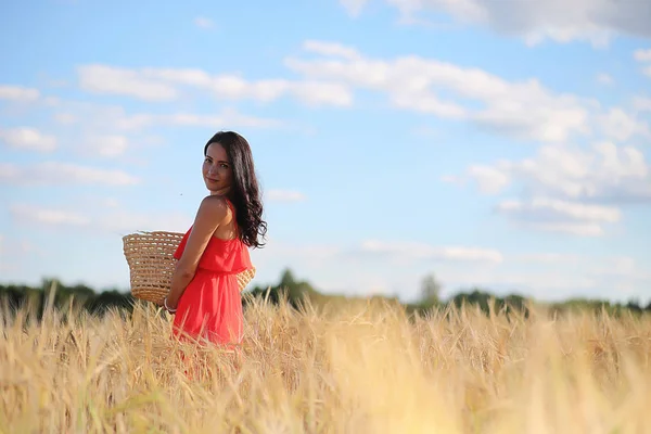 Pemandangan musim panas dan seorang gadis di alam berjalan di pedesaan . — Stok Foto