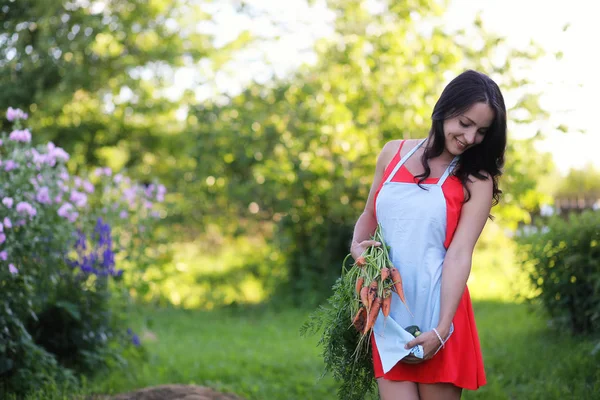 Női Kertész tart friss organikus zöldségek, a farm. Betakarítási idő — Stock Fotó