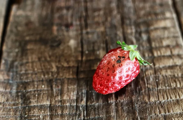Rotten strawberries concept gmo — Stock Photo, Image