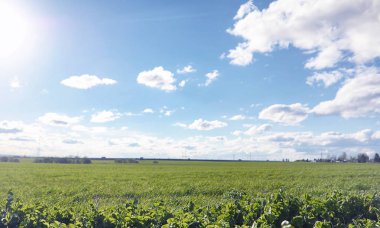 Yatay yaz mevsimindeyiz. Yeşil ağaç ve otların arasında kırsal arazi