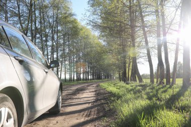 Yatay yaz mevsimindeyiz. Yeşil ağaç ve otların arasında kırsal arazi