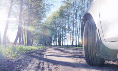 Yatay yaz mevsimindeyiz. Yeşil ağaç ve otların arasında kırsal arazi