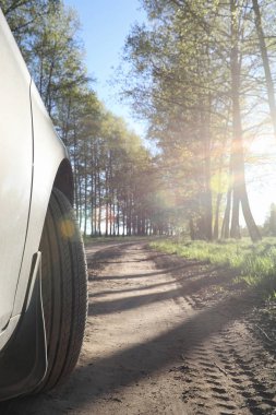 Yatay yaz mevsimindeyiz. Yeşil ağaç ve otların arasında kırsal arazi