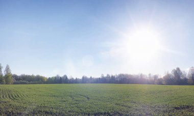 Yatay yaz mevsimindeyiz. Yeşil ağaç ve otların arasında kırsal arazi