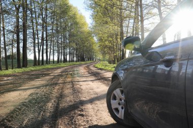 Yatay yaz mevsimindeyiz. Yeşil ağaç ve otların arasında kırsal arazi