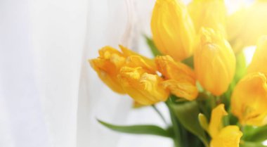 Pencere üzerinde bir vazoda kırmızı lale buketi. İçin bir hediye 