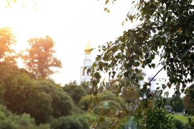 Katedral günbatımı ağaç bahar