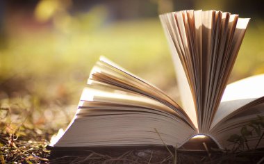 Sarı sonbahar açık kitap 