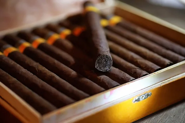 Gran caja de madera de cigarros hechos a mano cubana — Foto de Stock