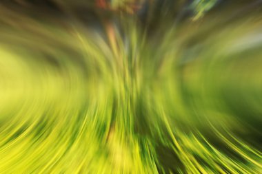 Soyut renkli arka plan hatları ve bulanık