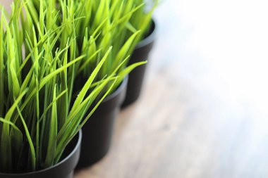 ahşap bir masa üzerinde lezzetli fındık