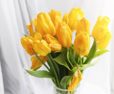 Pencere üzerinde bir vazoda kırmızı lale buketi. İçin bir hediye 