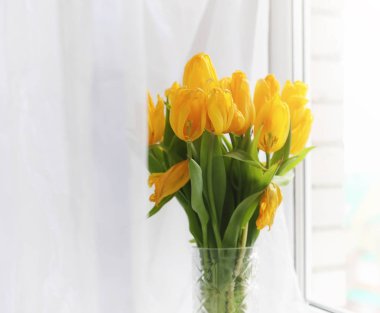 Pencere üzerinde bir vazoda kırmızı lale buketi. İçin bir hediye 