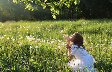 Bir bahar parkta bir karahindiba çiçek tohumlarından üfleme teen