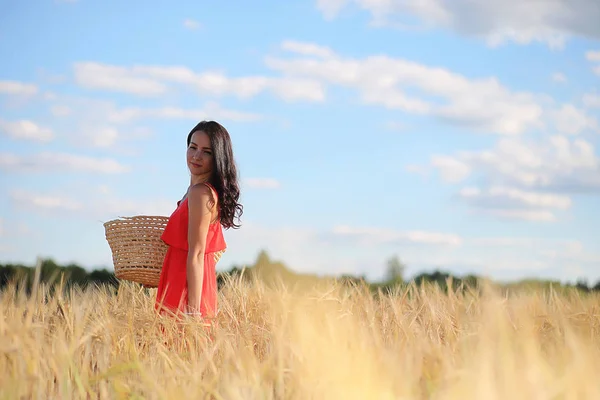 Pemandangan musim panas dan seorang gadis di alam berjalan di pedesaan . — Stok Foto