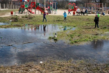 Park açık ördek