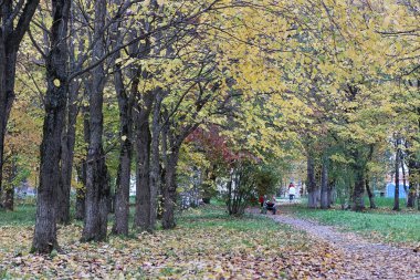 Çocuklar oyun bahçesinde oynuyorlar.