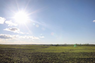 Yatay yaz mevsimindeyiz. Yeşil ağaç ve otların arasında kırsal arazi