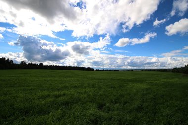 Peyzaj çayır gökyüzü bulut 