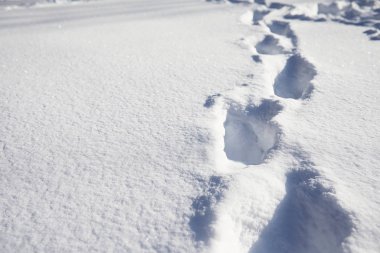 Karların dokusu. Kış yağmuru. Karlı bir yolda izler