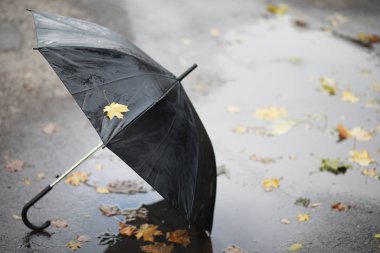 Parkta sonbahar arka plan