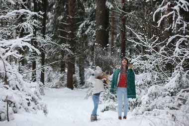 Genç bir aile yürüyüşe çıktı. Anne ve kızı şarapla yürüyorlar.