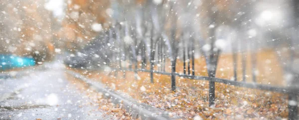 Pozadí podzimní park v prvním sněhu — Stock fotografie