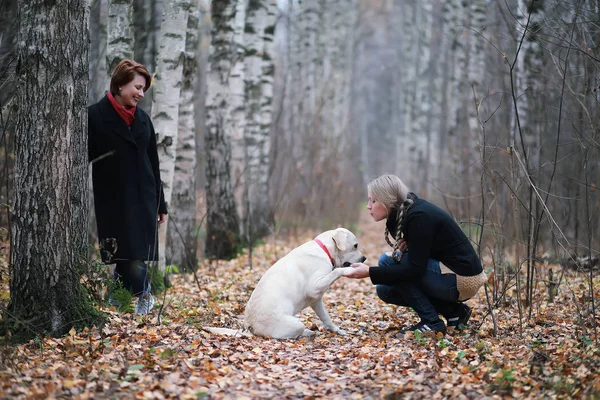 Tonårstjej Med Mamma Hundpromenad Höstträdgården — Stockfoto