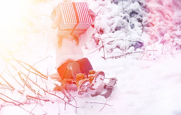 Un cuento de hadas de invierno, una joven madre y su hija montan en un trineo —  Fotos de Stock