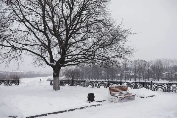 Paisaje de invierno. Parque de invierno cubierto de nieve. Un banco un —  Fotos de Stock