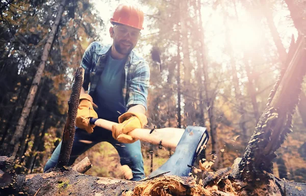 Male worker with an ax chopping a tree in the forest. —  Fotos de Stock