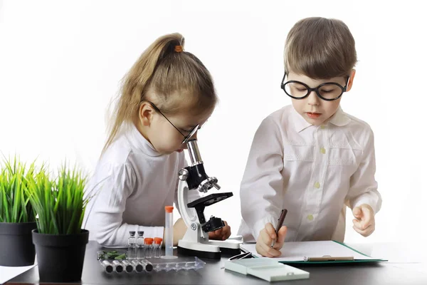 Young scientists chemists. Doctor, laboratory assistant.