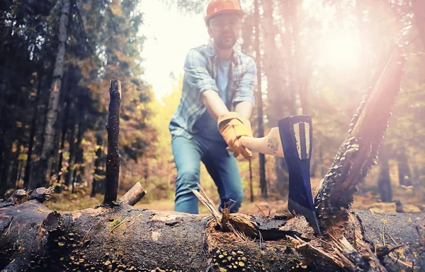 Male worker with an ax chopping a tree in the forest. — Foto de Stock