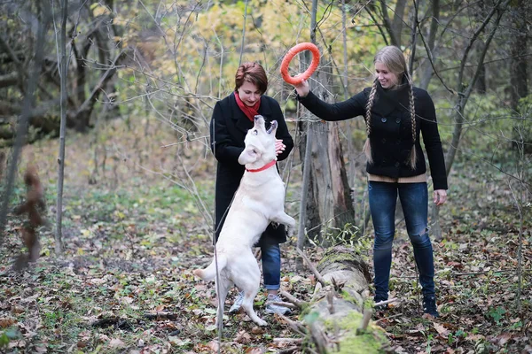 Mor Och Tonåring Promenad Höstträdgården — Stockfoto